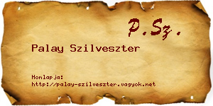 Palay Szilveszter névjegykártya